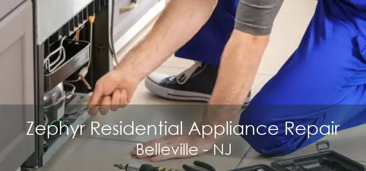 Zephyr Residential Appliance Repair Belleville - NJ